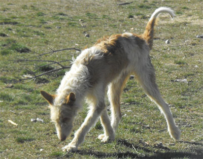 Salta.jpg